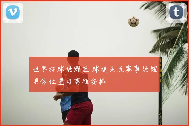世界杯球场哪里 球迷关注赛事场馆具体位置与赛程安排
