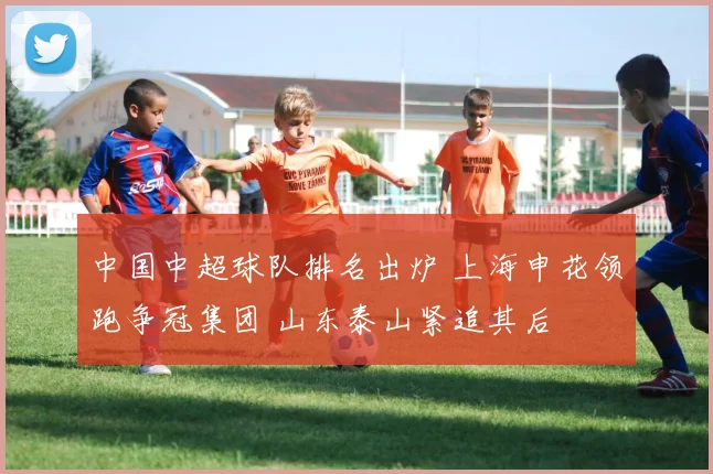 中国中超球队排名出炉 上海申花领跑争冠集团 山东泰山紧追其后