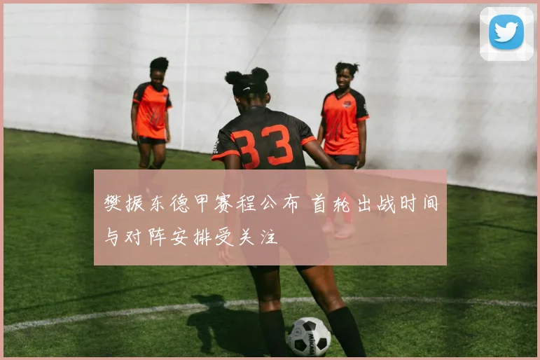 樊振东德甲赛程公布 首轮出战时间与对阵安排受关注