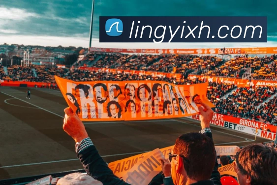 爱游戏ayx官网地址平台生态图